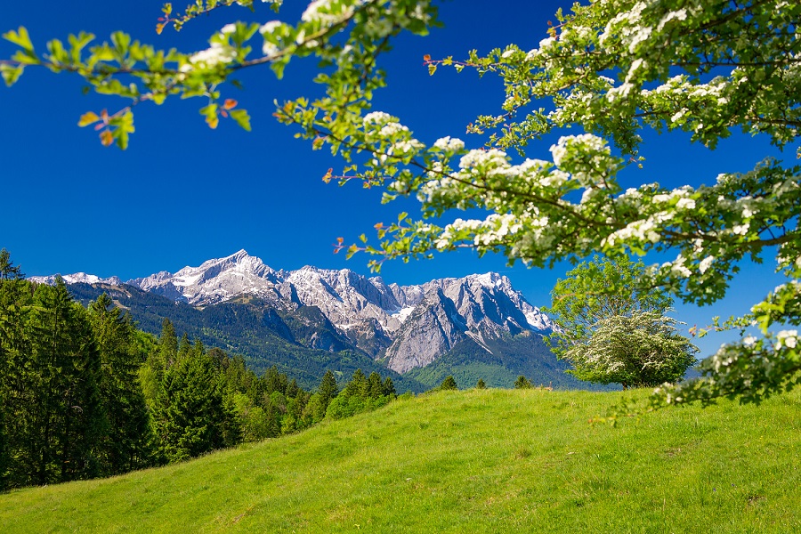 Abenteuer eines Amtsarztes