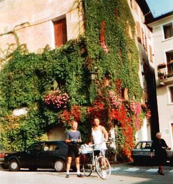 Wilder Wein