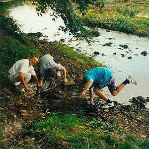 Donauversickerung