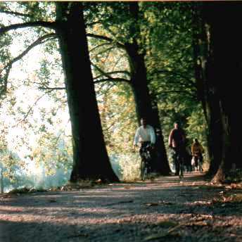 Mainauenweg