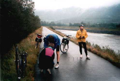 Panne auf dem Rheindamm