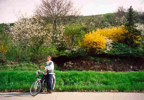 Frhling im Rheintal