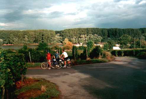 Weinberge bei Nackenheim