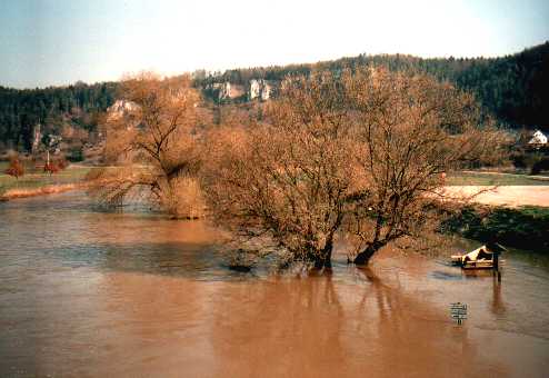 berflutetes Altmhlufer bei Arnsberg