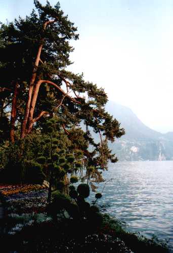 Lago di Lugano