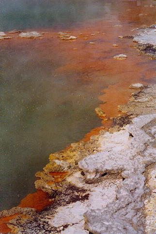 Champagne Pool im Thermal Wonderland Wai-o-tapu