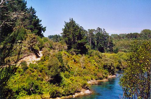 Waikato River