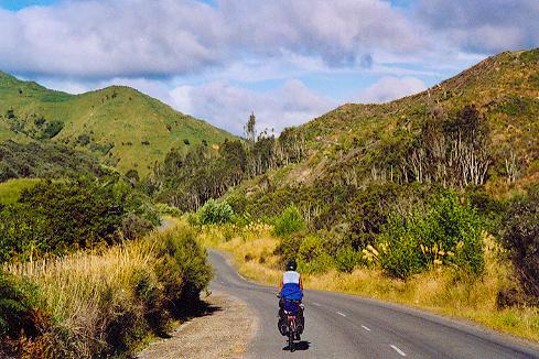 Blick nach vorn Richtung Whanganui River