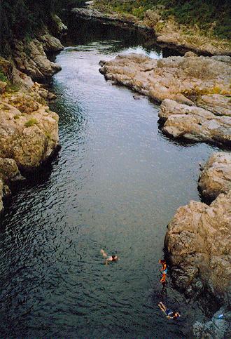 Pelorus River