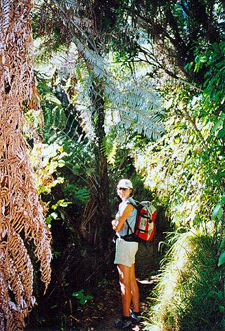 Abel Tasman Coastal Track