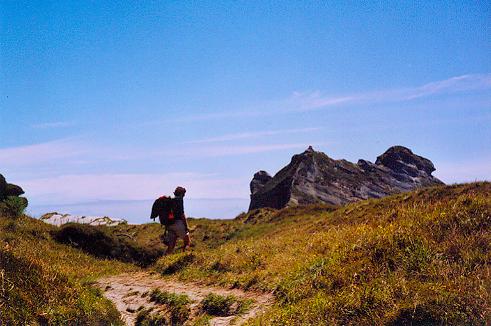 Weg zur Wharariki Beach