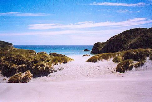 Wharariki Beach