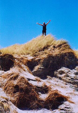 Wharariki Beach