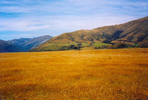 Landschaft