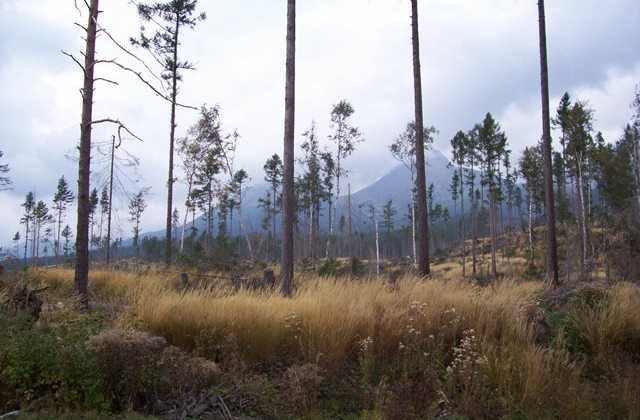 Hohe Tatra