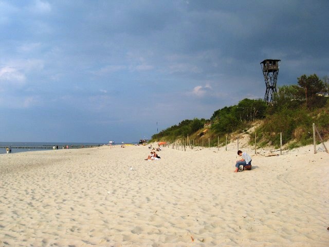 Strand von Wald Dievenow