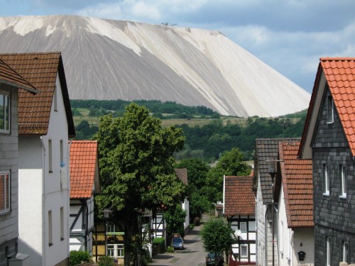 Heringen