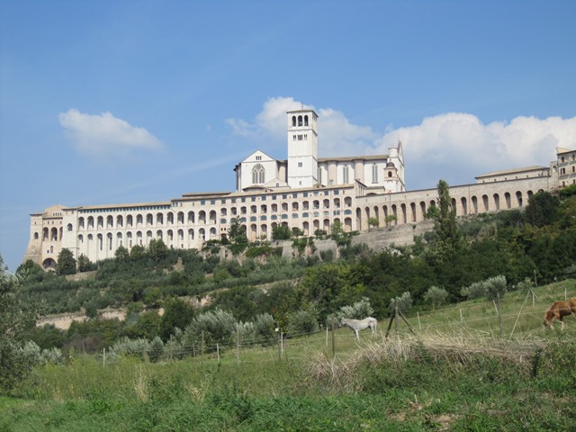 Assisi