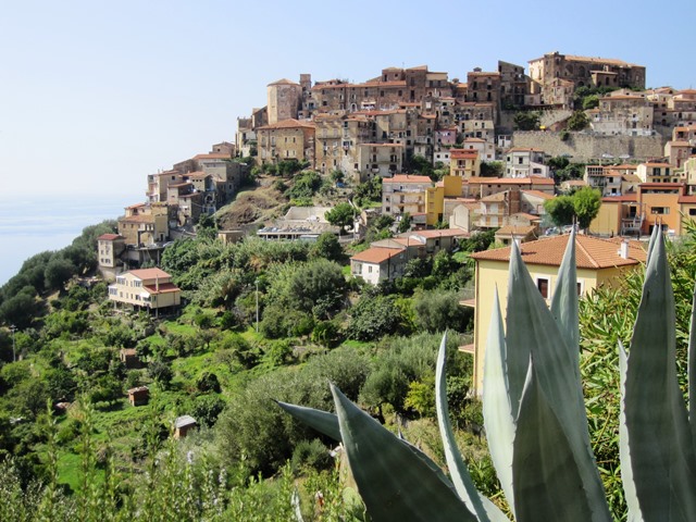 Pisciotta