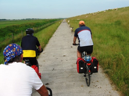 Nordsee-Radweg