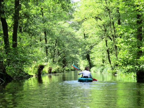 Spreewald