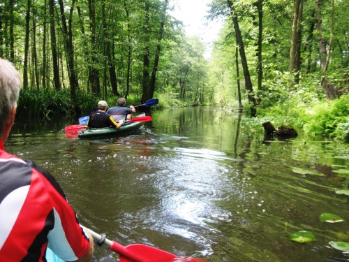 Spreewald