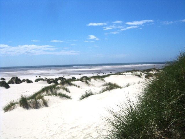 Amrum