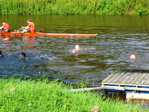 Schwimmen in der Ems