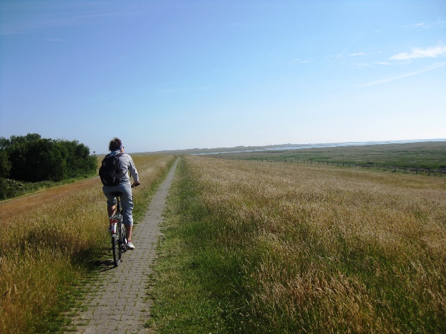 Seedeich Borkum