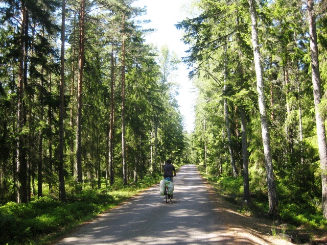 Waldweg