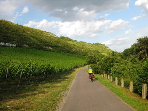 Weinberge