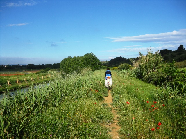 Feldweg bei Paraza