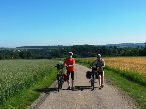 Hinauf zum Neckar-Hochufer