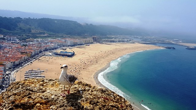 Nazare