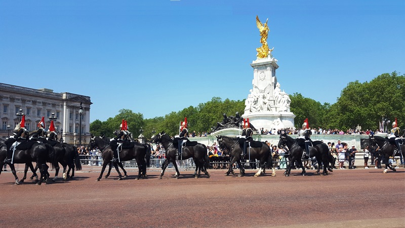 Horse Guard