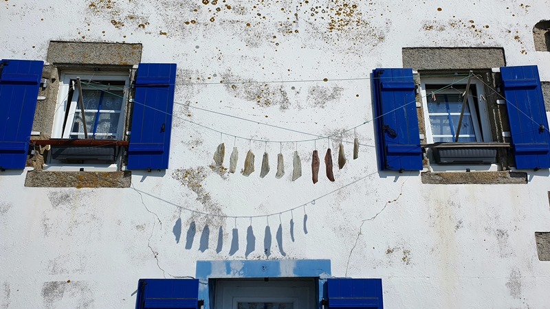 Trockenfische