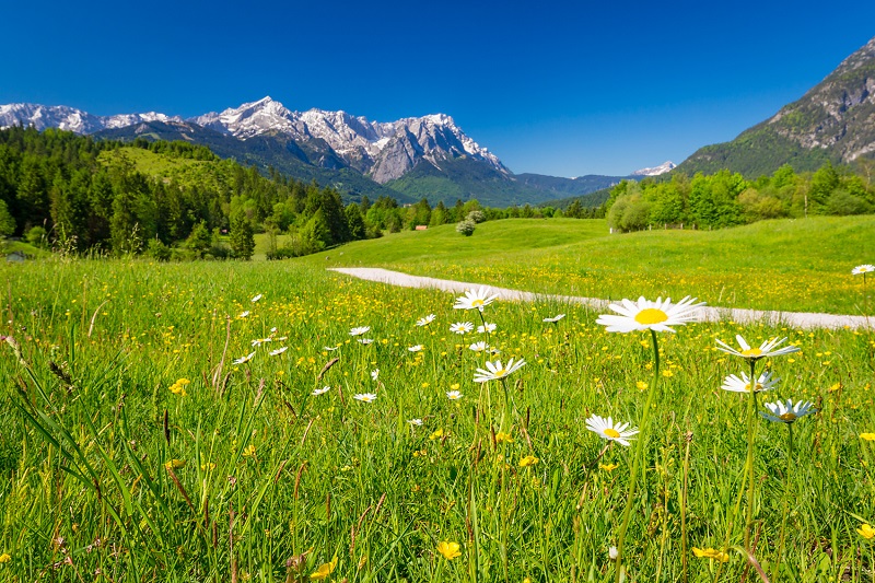 Radltouren ab Mnchen und Garmisch